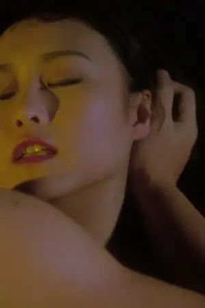 Tay Đấm Bốc